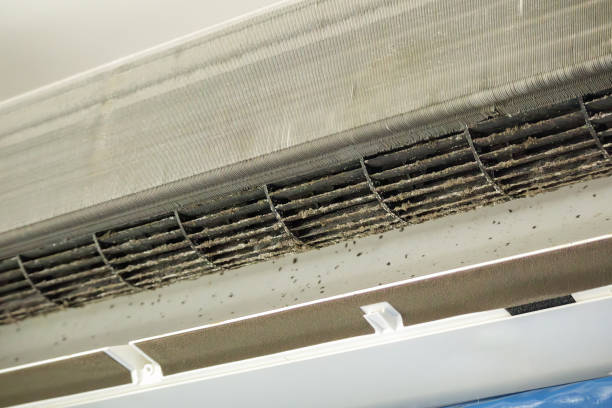 Best General Air Duct Cleaning  in Isle Of Palms, SC
