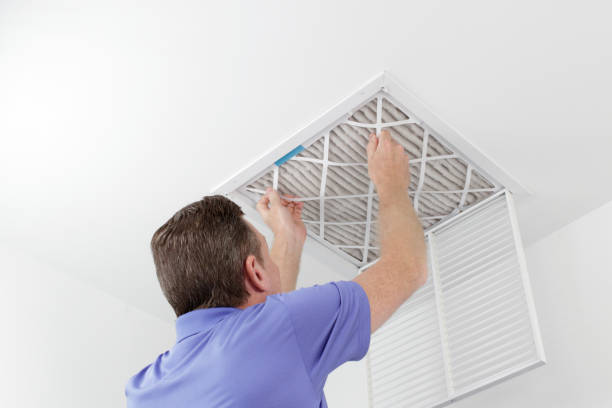 Best Local Air Duct Cleaning Services  in Isle Of Palms, SC